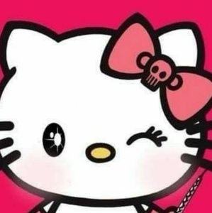 Meet your Posher, Connie